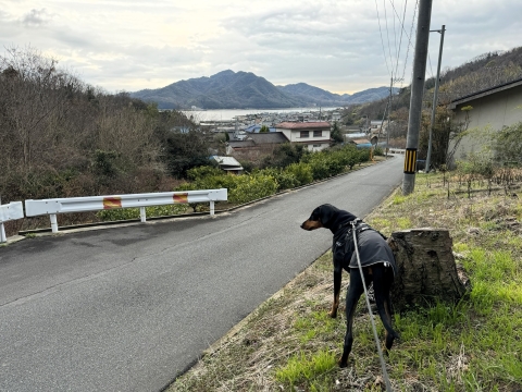 南を目指す 南を目指す