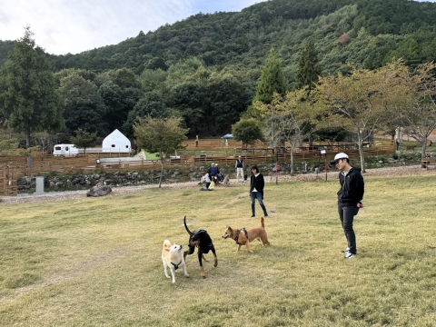 はくりゅうと合流 はくりゅうと合流