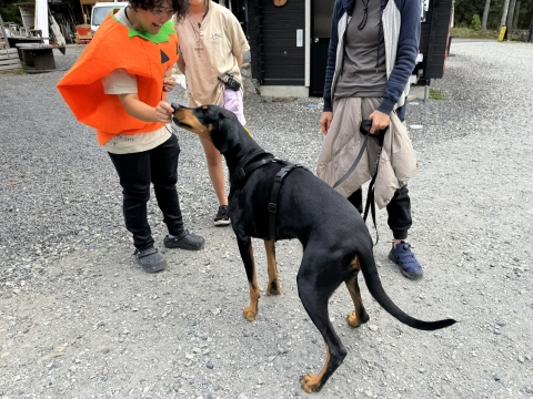 かほちゃんにおやつをもらう かほちゃんにおやつをもらう