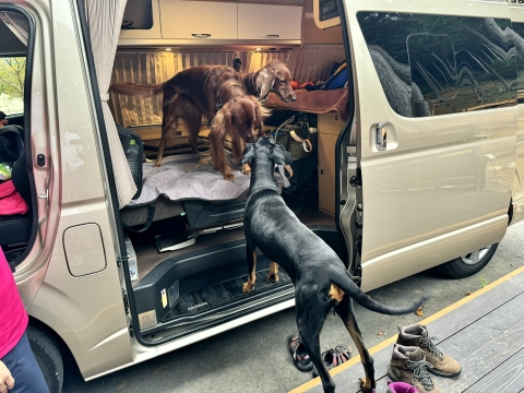 名古屋から度々来られているラリー&エラン 名古屋から度々来られているラリー&エラン