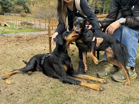 わさびとのワンプロは続く わさびとのワンプロは続く