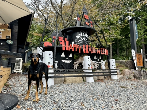 すっかりハロウィンの装い すっかりハロウィンの装い