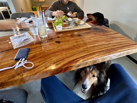 デザートプレートを食べている間もこちらに デザートプレートを食べている間もこちらに