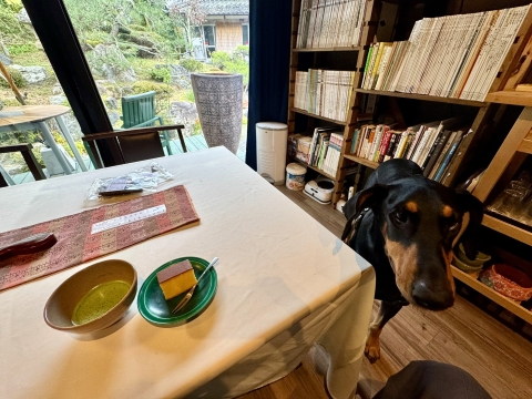 ウェルカムお薄とカステラで一息 ウェルカムお薄とカステラで一息