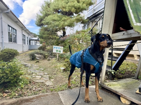 池には"メダカの学校"という立札 池には"メダカの学校"という立札
