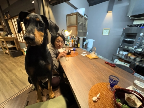 なぜお前がそこに なぜお前がそこに