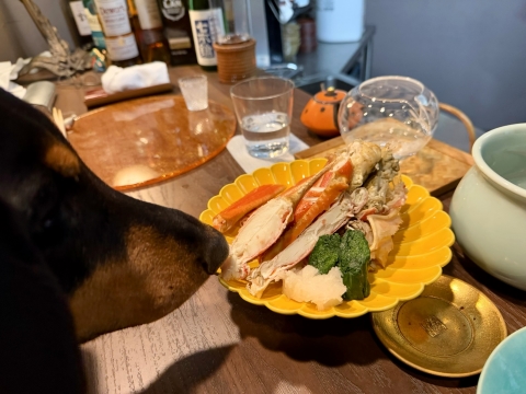 さらにかに酢で味わう茹でた身が一皿 さらにかに酢で味わう茹でた身が一皿