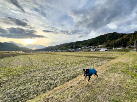 空水も負けじと走る 空水も負けじと走る