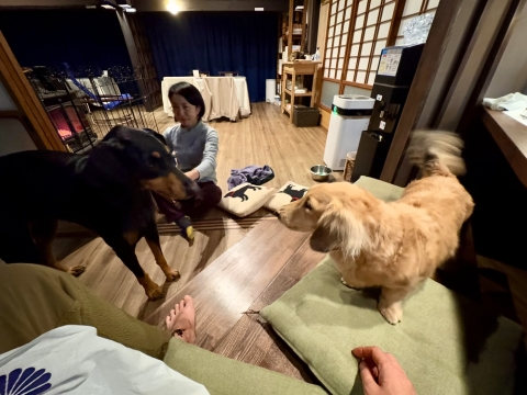 ルークもやってきた ルークもやってきた