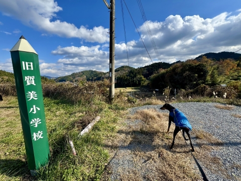 旧質美小学校にやってきた 旧質美小学校にやってきた
