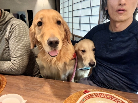 ナラ&ティナと ナラ&ティナと