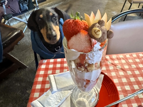 苺のパフェ 苺のパフェ