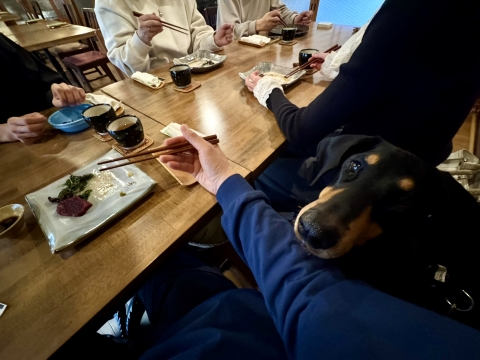 あご乗っけ あご乗っけ
