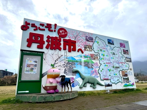定番フォトスポット 定番フォトスポット