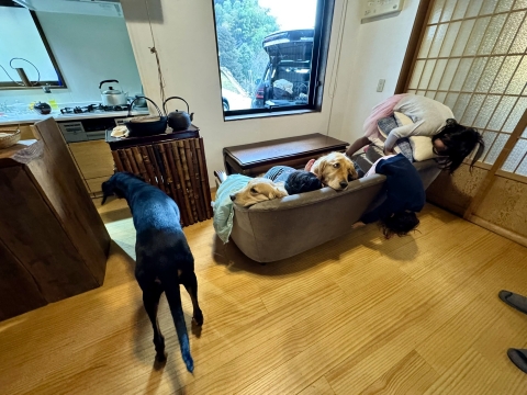 子供たちとねっとり 子供たちとねっとり