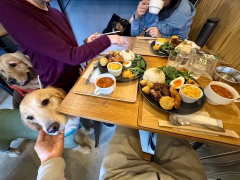 ヴォリュームたっぷりの美味しいランチ ヴォリュームたっぷりの美味しいランチ
