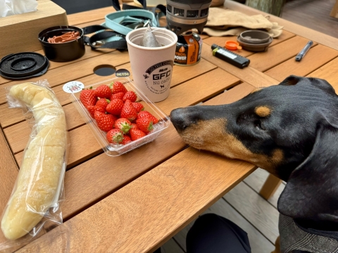かんなひめとヨーグルトパン かんなひめとヨーグルトパン