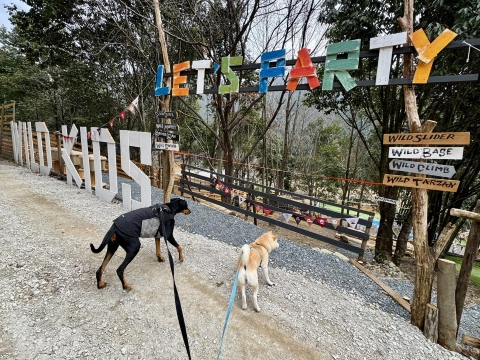 ワイルドキッズパーク入口 ワイルドキッズパーク入口