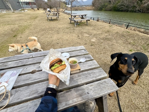 気持ちの良い広場で食す 気持ちの良い広場で食す