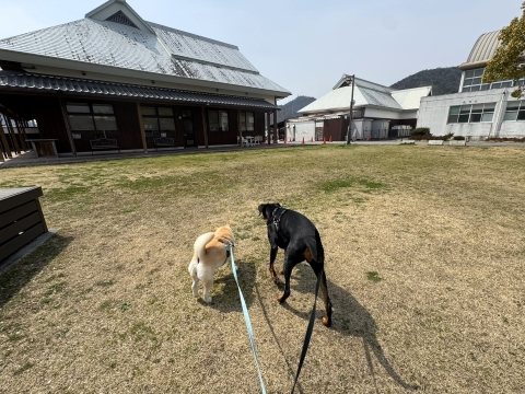 さあ本当に帰ろうか さあ本当に帰ろうか