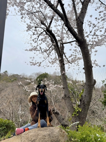 ΂̖kRw