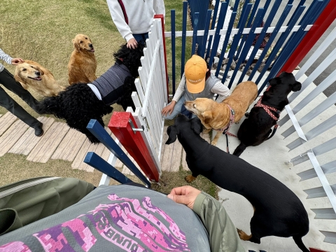 ピノとアイリスが来てくれた ピノとアイリスが来てくれた