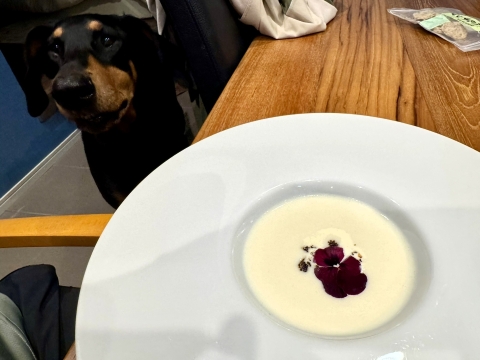 新玉ねぎのスープ 新玉ねぎのスープ