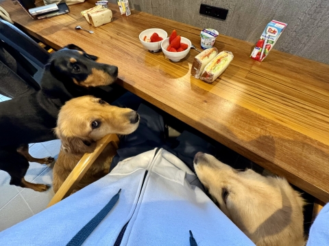 皆集合 皆集合