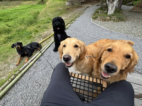 集合写真 集合写真