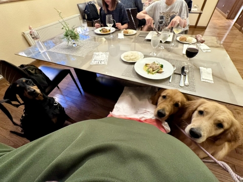 ここでももちろん定位置 ここでももちろん定位置