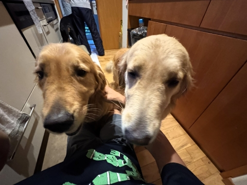 ナラ&ティナの歓迎 ナラ&ティナの歓迎