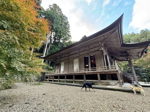 �{������