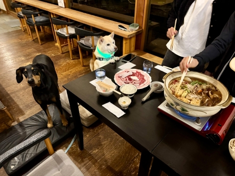 �ڂ�����`�����ނ͂���イ