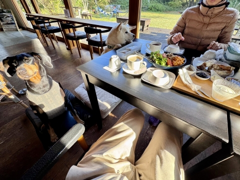 �K�������オ��͂�