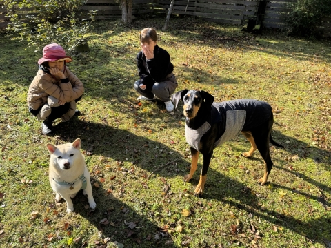 �L��ł̂���