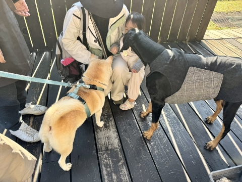 T�����o��