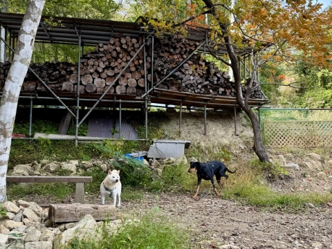 �h�b�O������