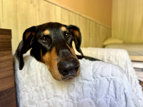 �y����������