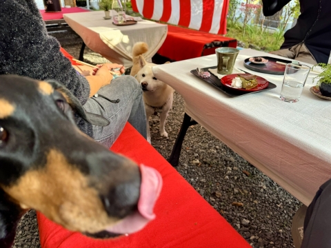 ���X�ň�x��