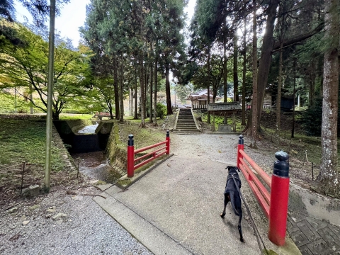 ���̂�͂܂��܂�����