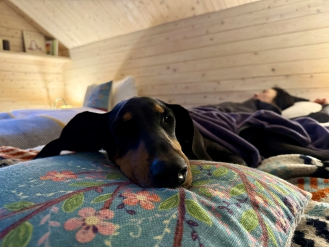 ������