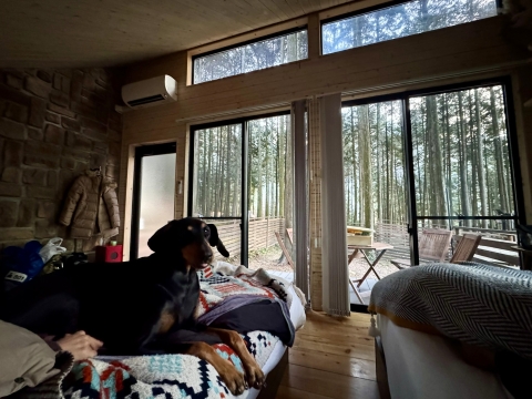 �����͒g����