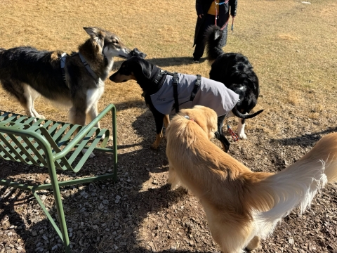 ��^���̏W��