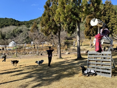 �l���������Ă���