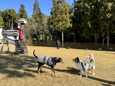 �{�[�_�[�p�s�[������