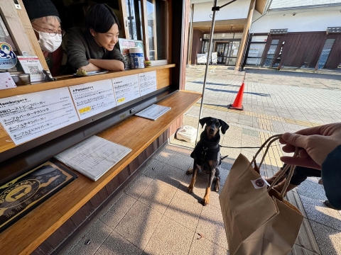 Navel Burger Stars�ɗ������