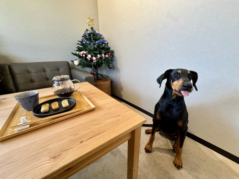 �ق������Ƃ��񂱂����������