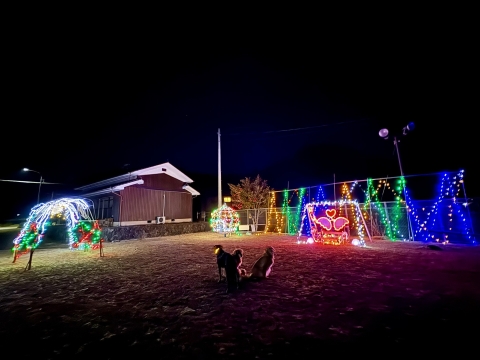 �J�}�i���G