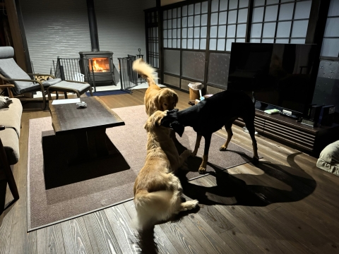 ���Â��������烏���v��