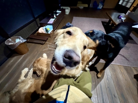 �����v���͑���